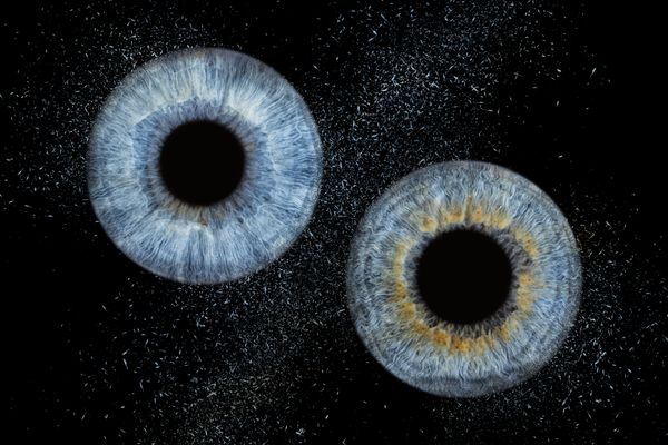 Shooting Iris