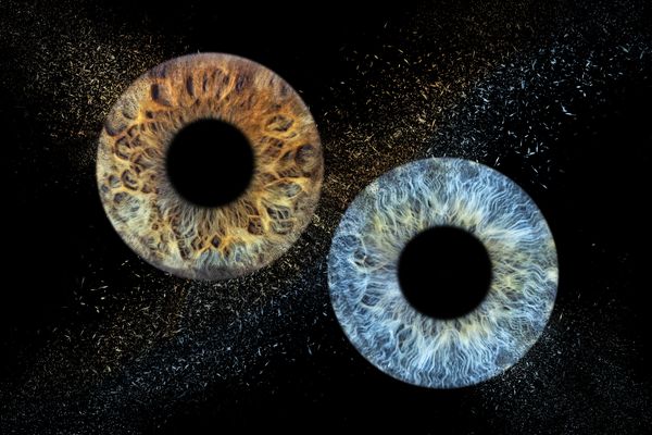 Shooting Iris
