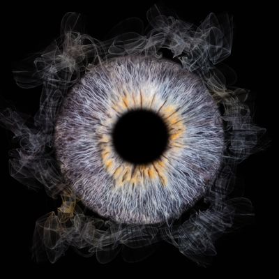 Shooting Iris
