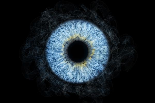 Shooting Iris