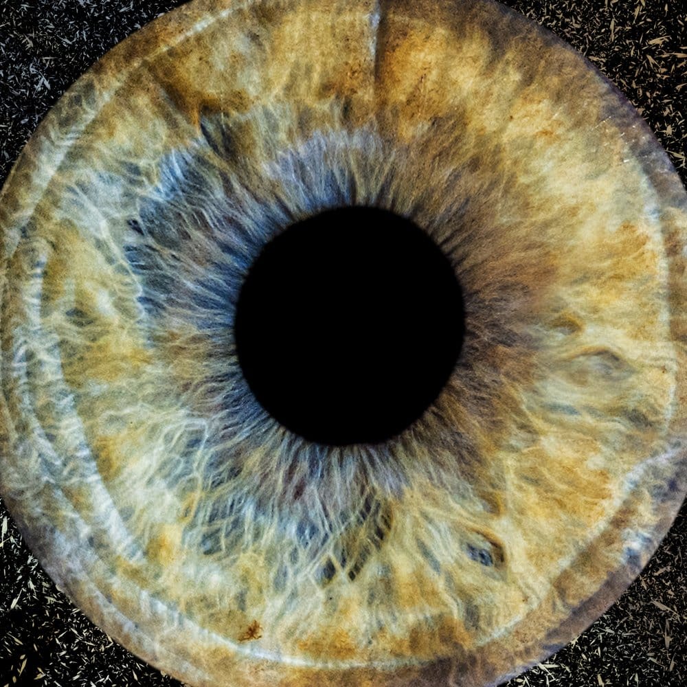 Détail macro d'un iris, texture et stries colorées, studio Kodak Express Lille